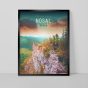 Nosal 3.png