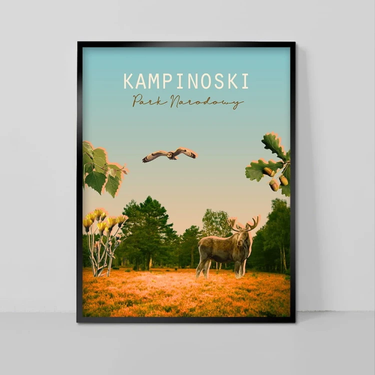 Plakat „Kampinoski Park Narodowy”.jpg